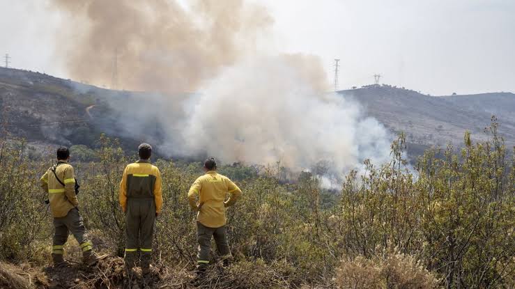 Incendios forestales dejan 15 fallecidos y 98 heridos