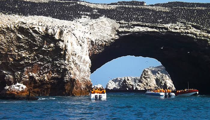 Lee más sobre el artículo Los atractivos de Paracas, destino turístico favorito