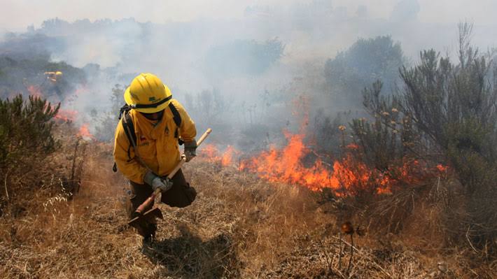 Aumentan los incendios forestales en Perú