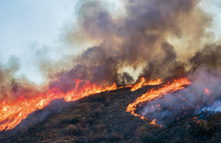 Prevención y gestión de los incendios forestales