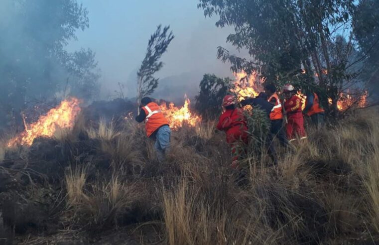 Extinguen incendios forestales en los distritos de regiones