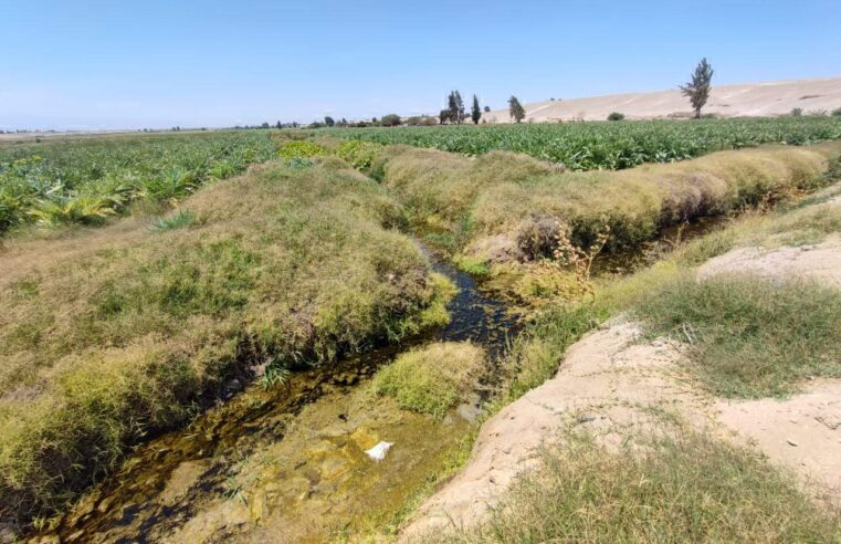 Proponen reutilización de aguas subterráneas en Majes I 