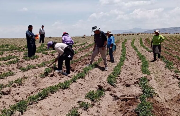 GRAG impulsa la tecnificación del riego en Arequipa para enfrentar la sequía hídrica