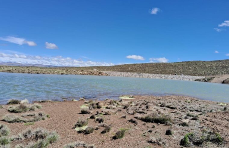 Construyen 65 qochas para asegurar el agua en la cuenca del río Chili