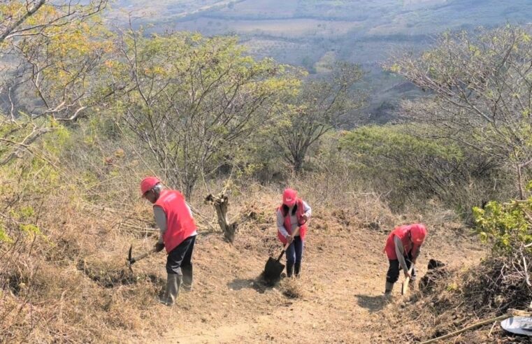 Un total de 51 centros poblados se beneficiarán con caminos rurales