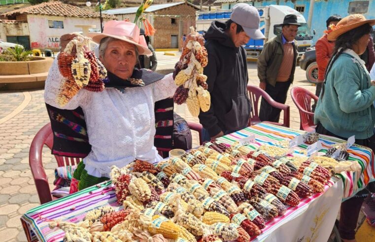 Agricultores recuperan más de 200 variedades de cultivos en riesgo