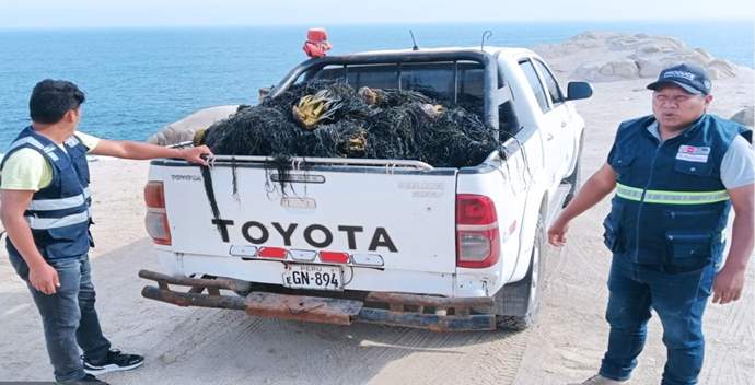 Fiscalizan extracción ilegal de macroalgas en Caravelí