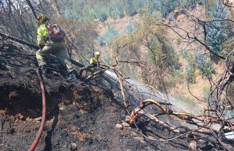 Descartan daños en muros incas de Sacsayhuamán por incendio forestal