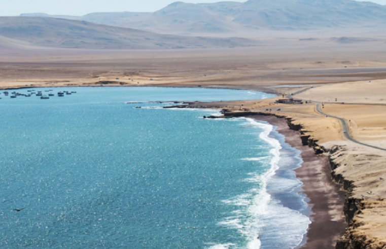 Paracas, es considerado destino turístico favorito en el país