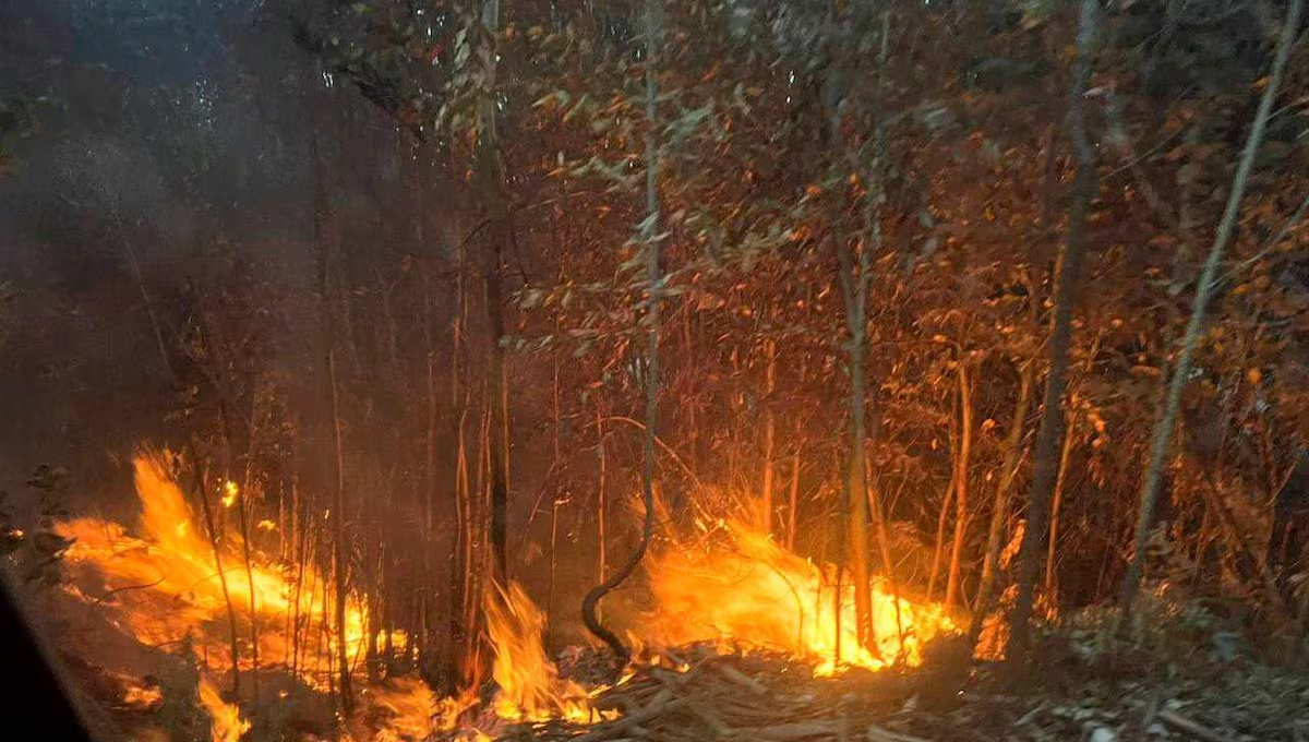 Suman cuatro las víctimas que dejan los incendios forestales