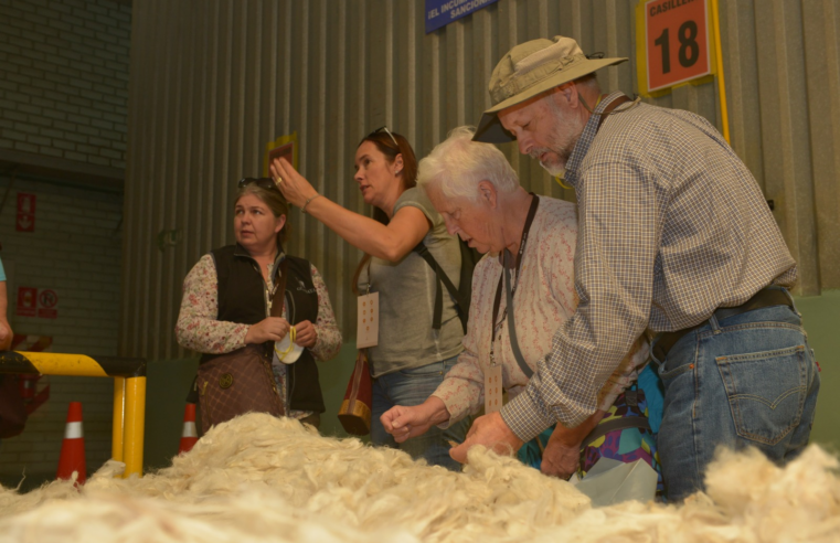 Arequipa es la capital de la fibra de alpaca en el país