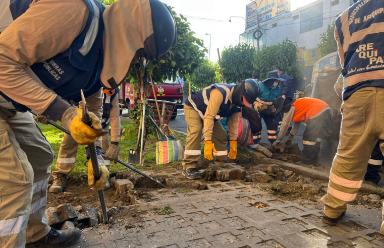 Recuperan áreas verdes convertidas  en estacionamientos de vehículos