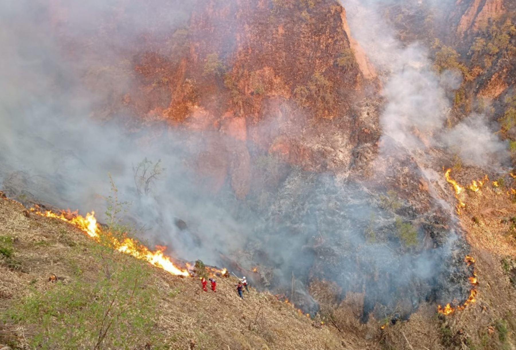 Incendios forestales dejaron 379 siniestros y 3 fallecidos este año