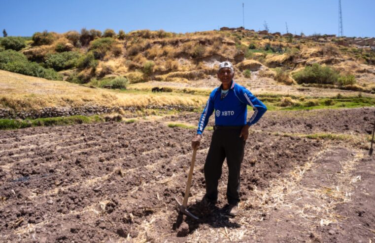 Midagri recuperará 120 000 hectáreas de andenería con fines agrarios