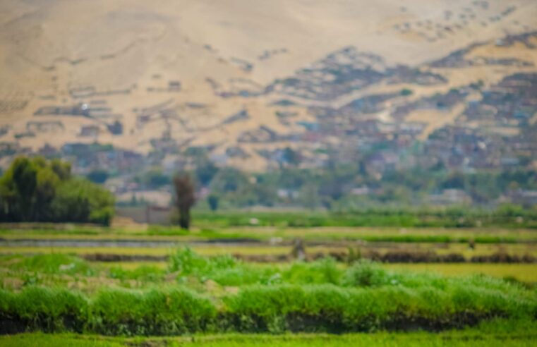 Inician obras en canal que beneficia riego en 40 hectáreas de cultivo