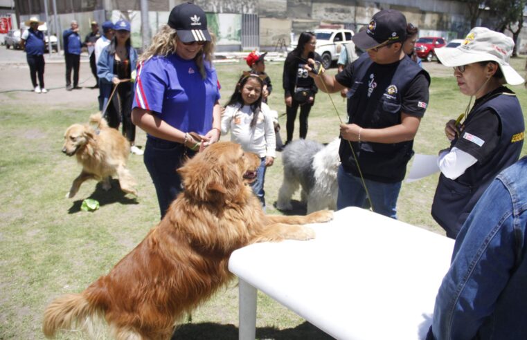 Generan tenencia responsable de mascotas con “Loncco Can”