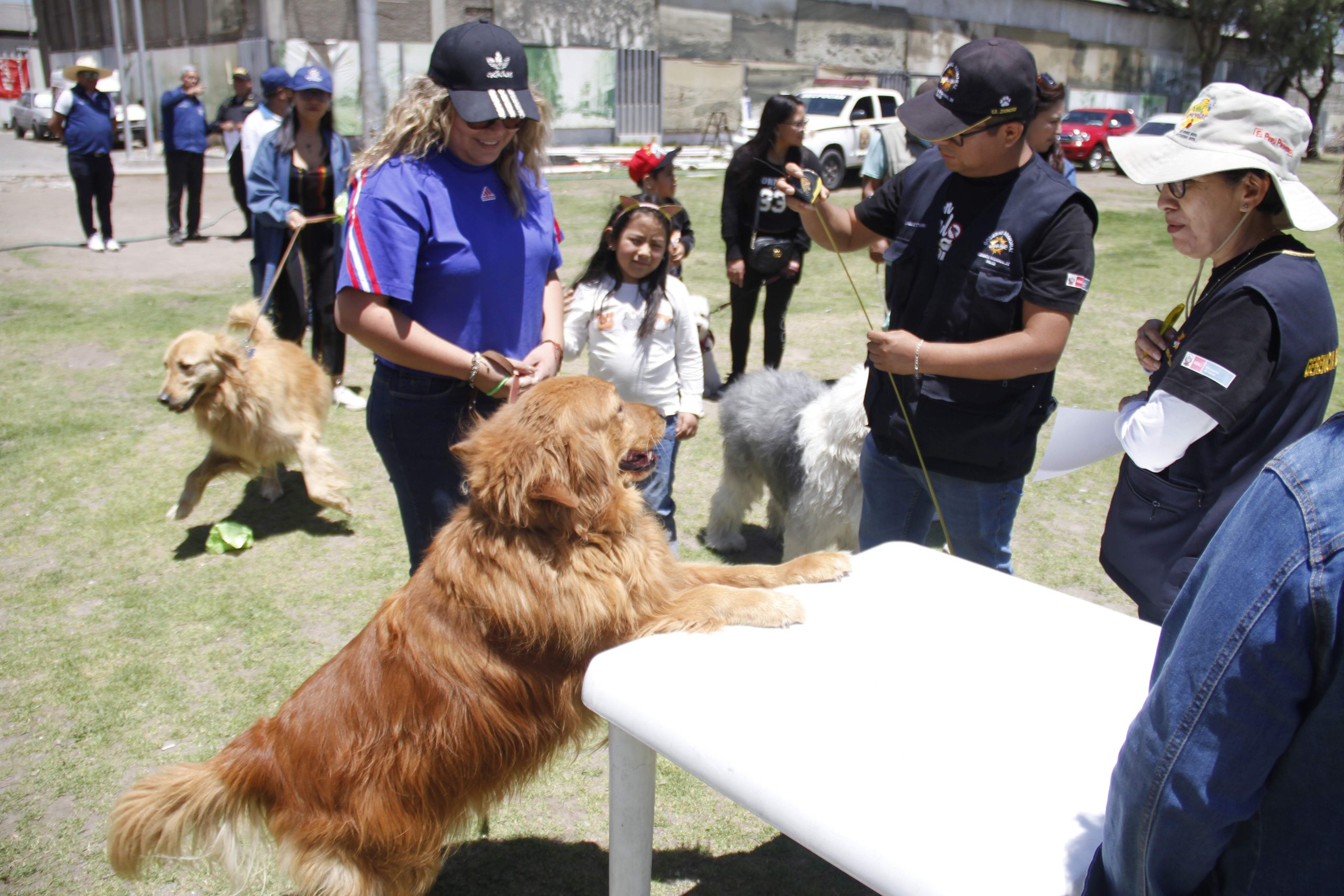 Generan tenencia responsable de mascotas con “Loncco Can”