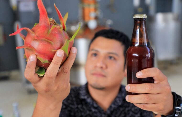 Pitahaya se pone de moda: impulsan creación de productos innovadores