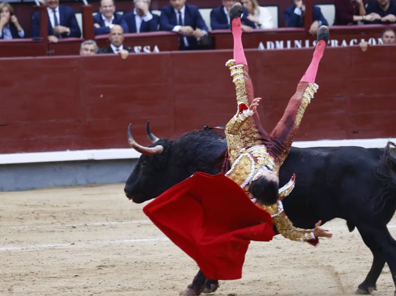 Andrés Roca Rey, torero peruano, en estado crítico tras ser operado