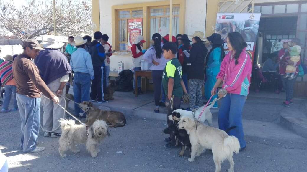 Geresa busca inmunizar a 320 mil canes contra la rabia