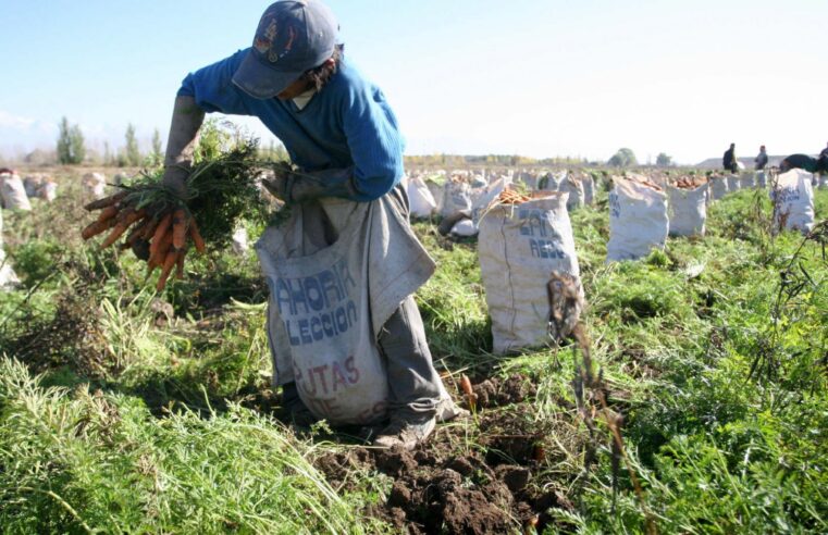 MIDAGRI impulsa en el país el Seguro Agrícola Catastrófico