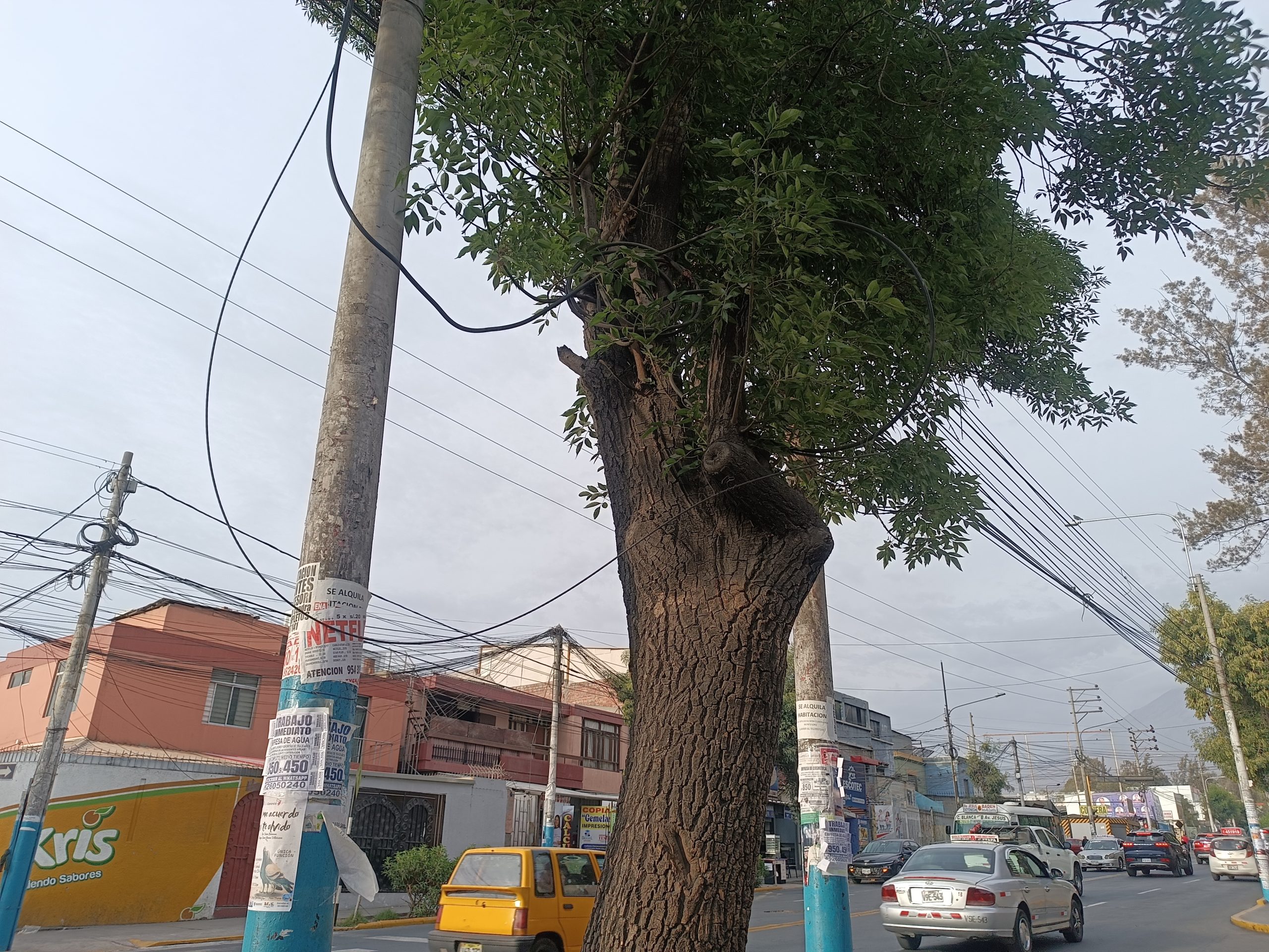 FOTO DE HOY LUNES 18 DE NOVIEMBRE