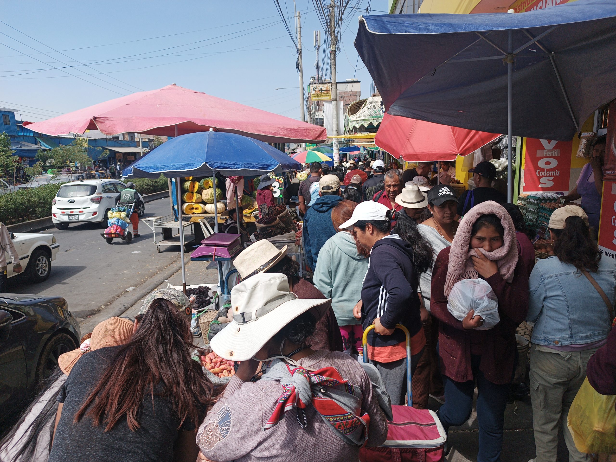 FOTO DE HOY LUNES 25 DE NOVIEMBRE
