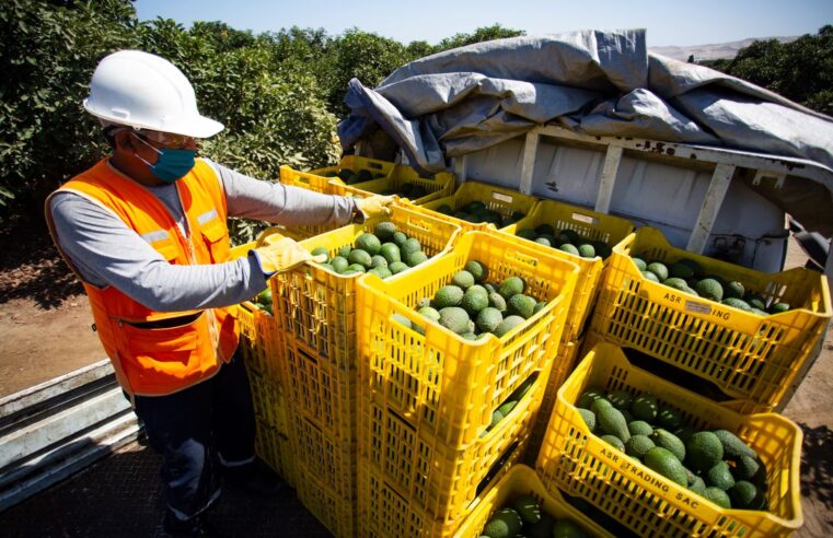 Exportaciones generaron 430 212 empleos en el país en setiembre