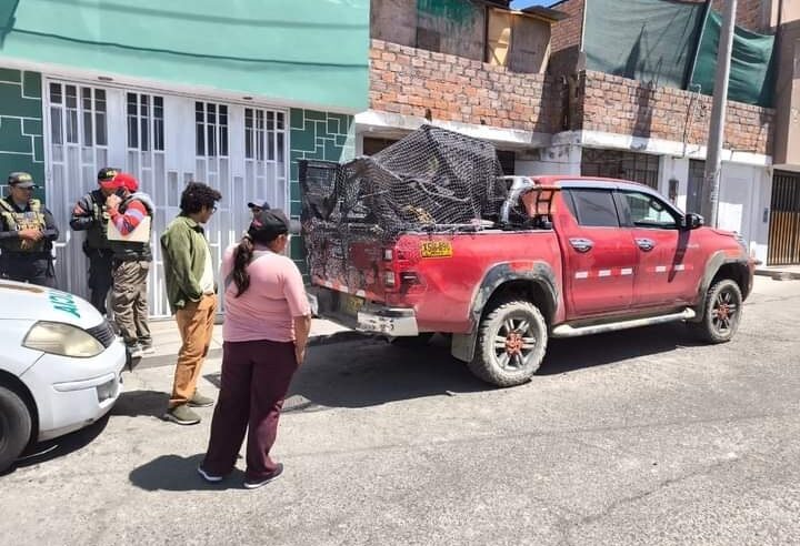 Desarticulan ‘Los Trujillanos del Cono Norte’ por robo de camionetas en Arequipa