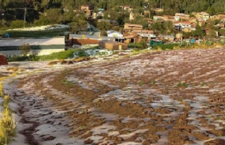 Granizada dañó más de 80 hectáreas de cultivos en distrito Chinchaypujio