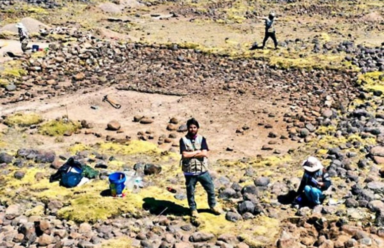 Descubren ruta Wari de la alpaca en sitio arqueológico Llaqtapampa