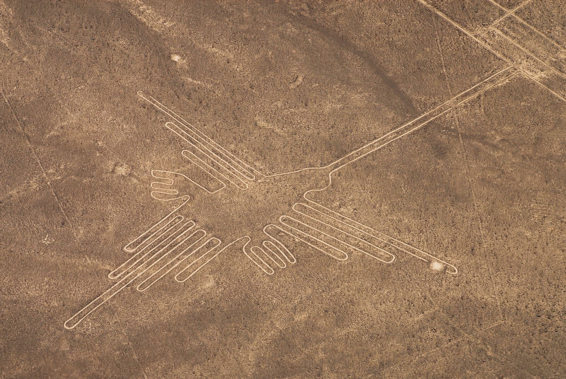 Lee más sobre el artículo Líneas y Geoglifos de Nasca, patrimonio de la humanidad de Perú