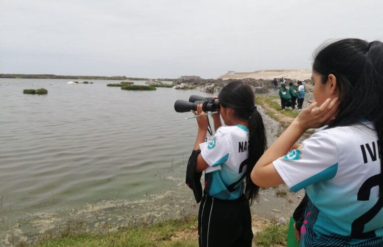 Estudiantes conocen ecosistemas de Lomas de Moro Sama y humedales Ite