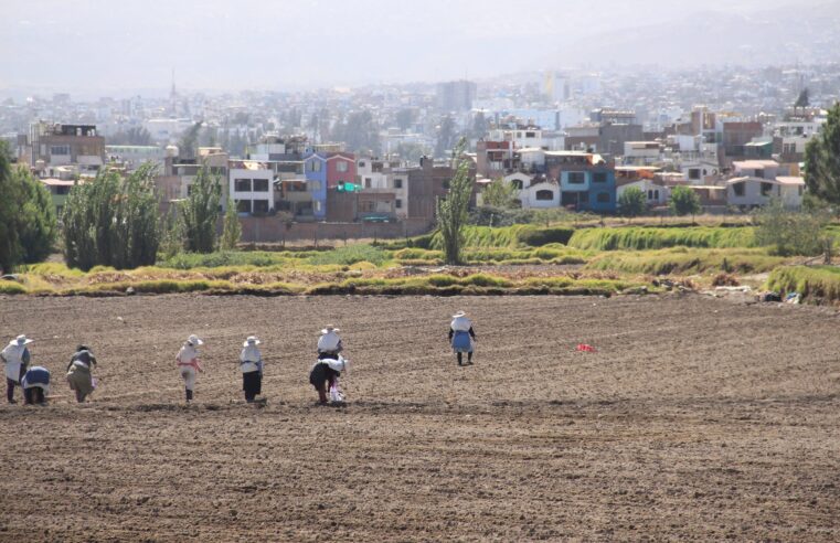 PDM deberá asegurar proyectos para Arequipa