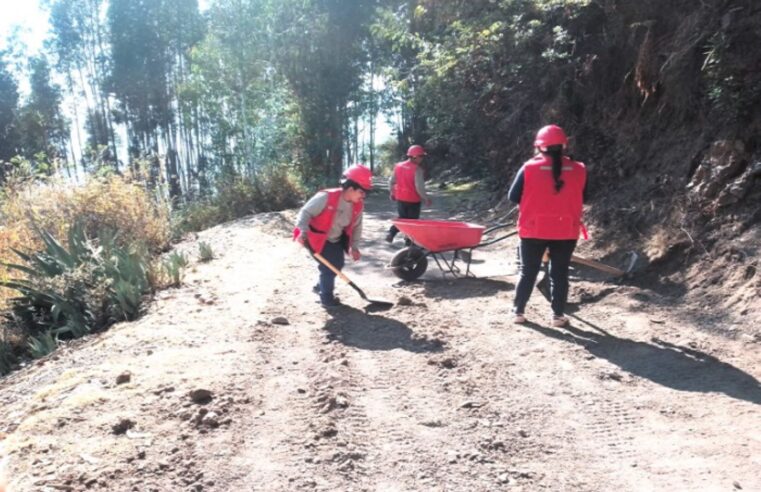 Más de 1,300 km de caminos rurales fueron rehabilitados en 27 distritos