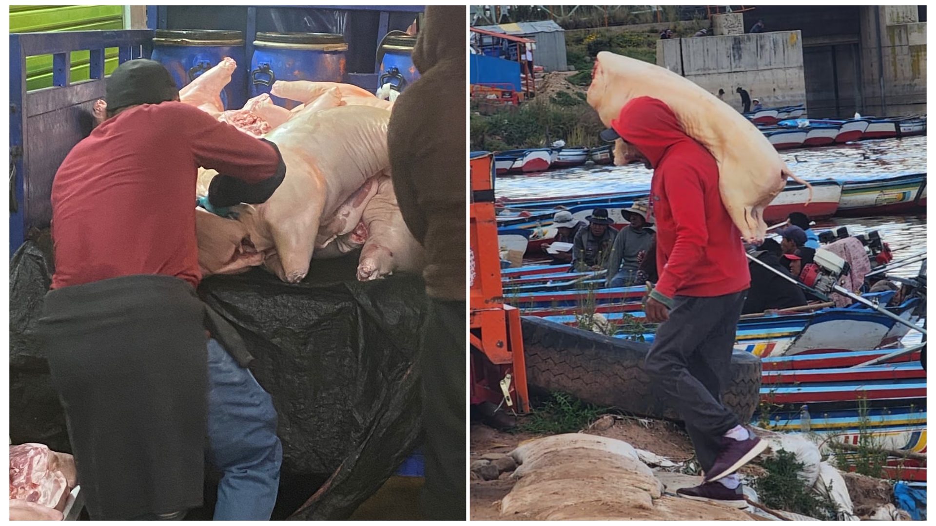 Arequipeños siguen consumiendo carne de cerdo boliviana de contrabando