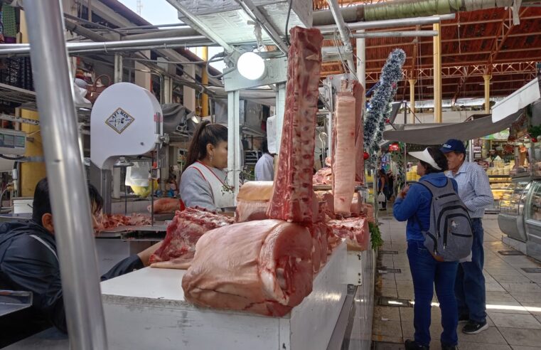 Ofertarán más de 500 cerdos para Año Nuevo en el tradicional mercado San Camilo