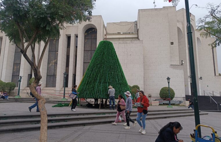 FOTO DE HOY MIERCOLES 11 DE DICIEMBRE