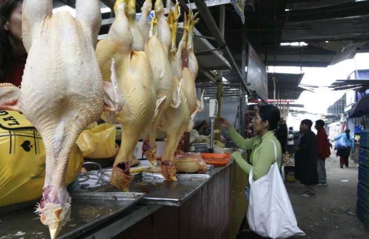 4-2: Inician venta de pavos en los mercados de Arequipa