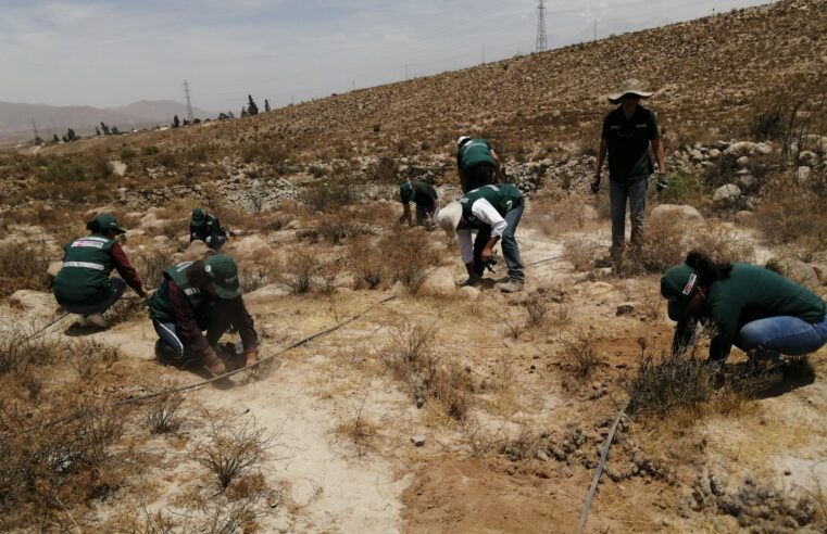 Anuncian declaratoria para nuevos ecosistemas frágiles en Arequipa