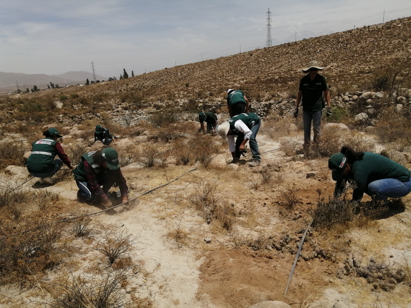 Anuncian declaratoria para nuevos ecosistemas frágiles en Arequipa