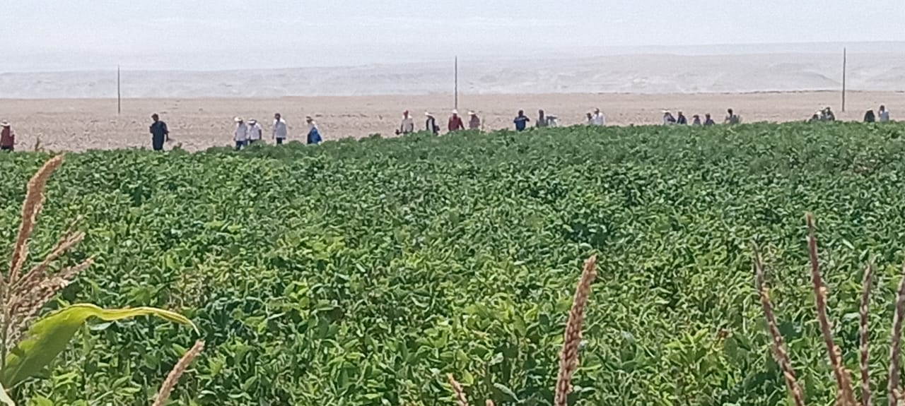 Promueven Agricultura Orgánica en Castilla con Cultivos de Soya y Maíz