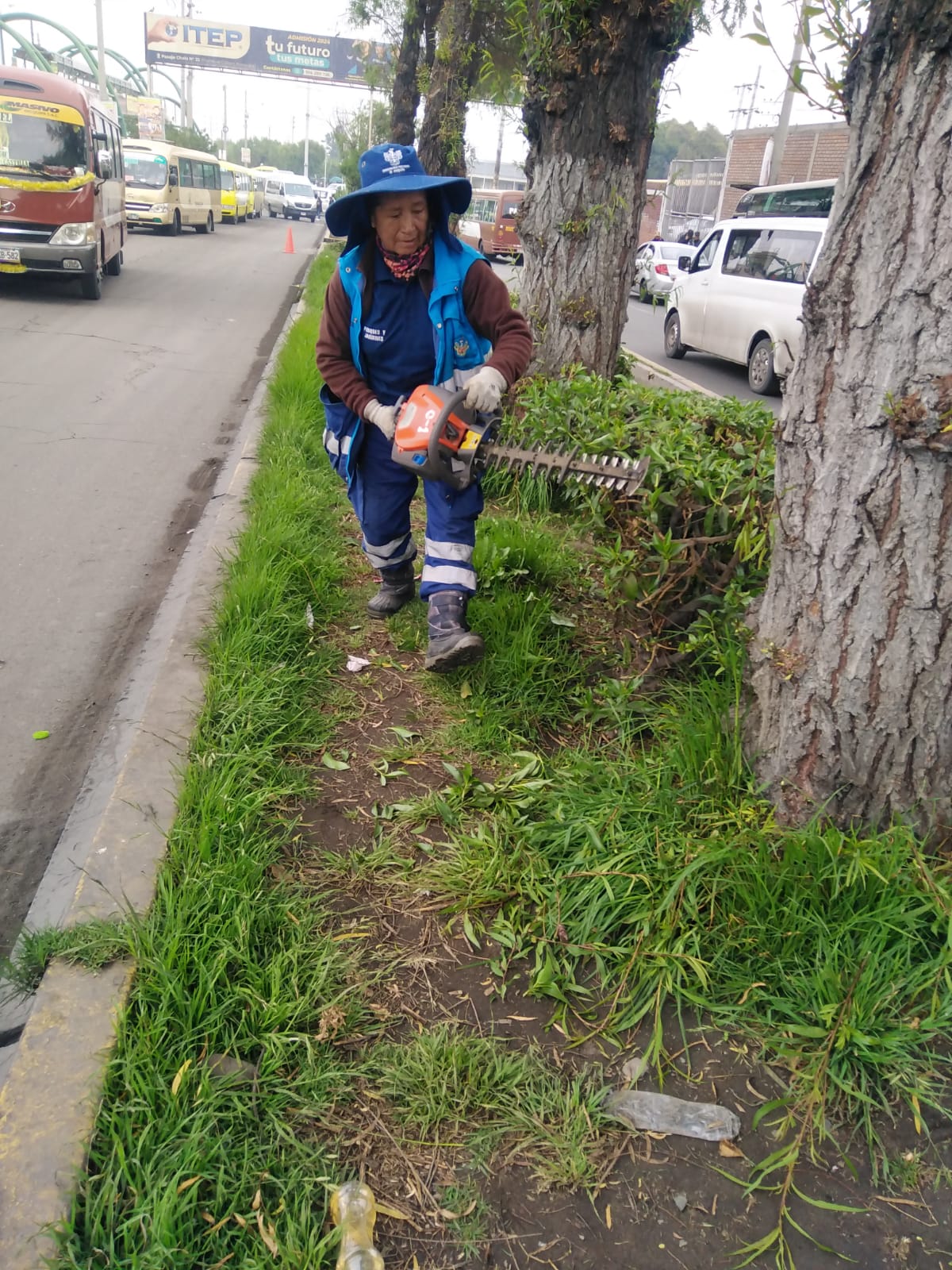 Departamento de Parques y Jardines intensifican trabajos de mantenimiento