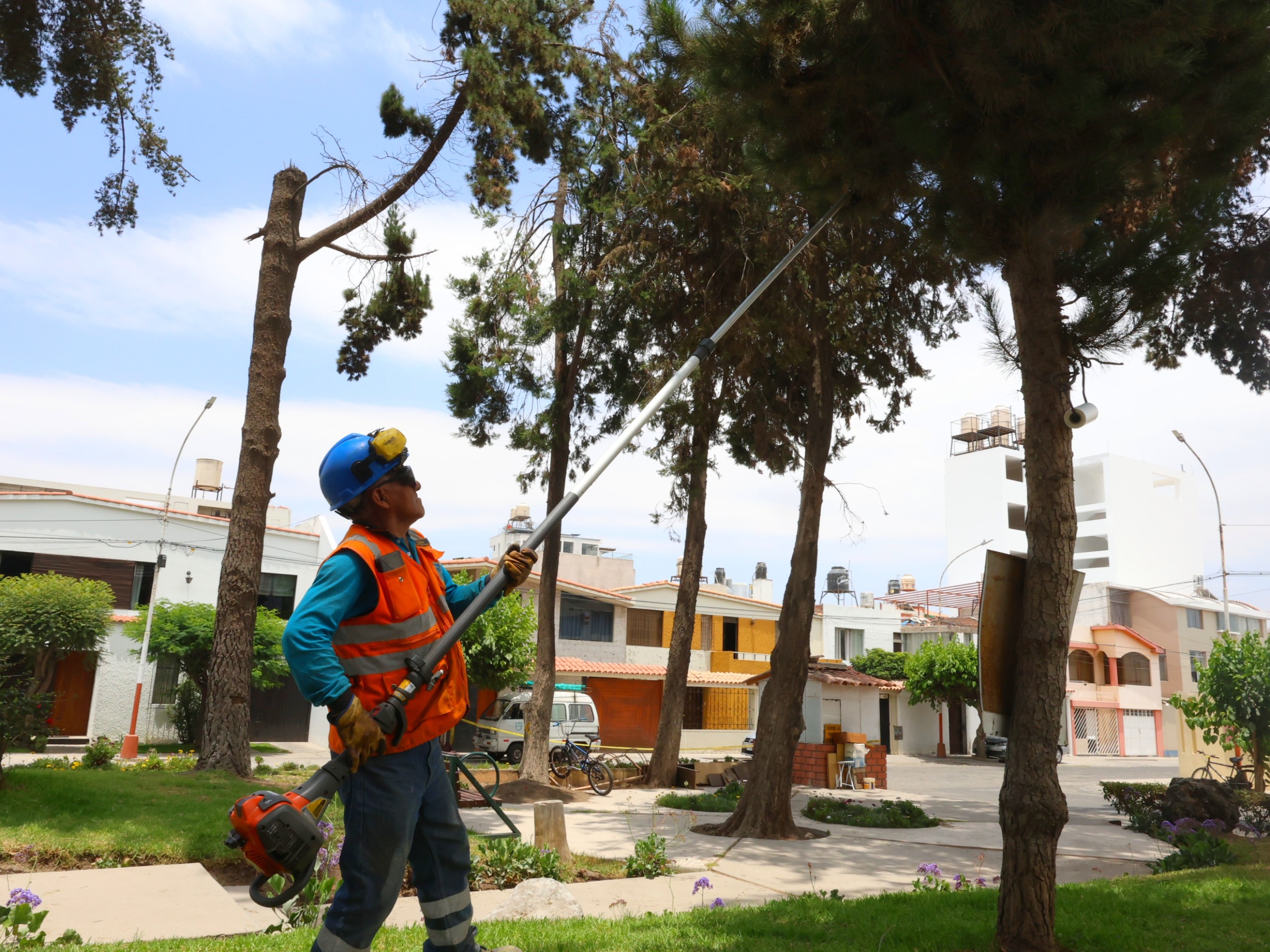En Bustamante y Rivero continúa mantenimiento de áreas verdes