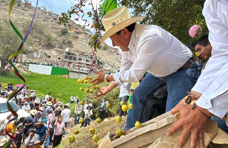 Tiabaya: Fundo Los Perales con solo 50 árboles