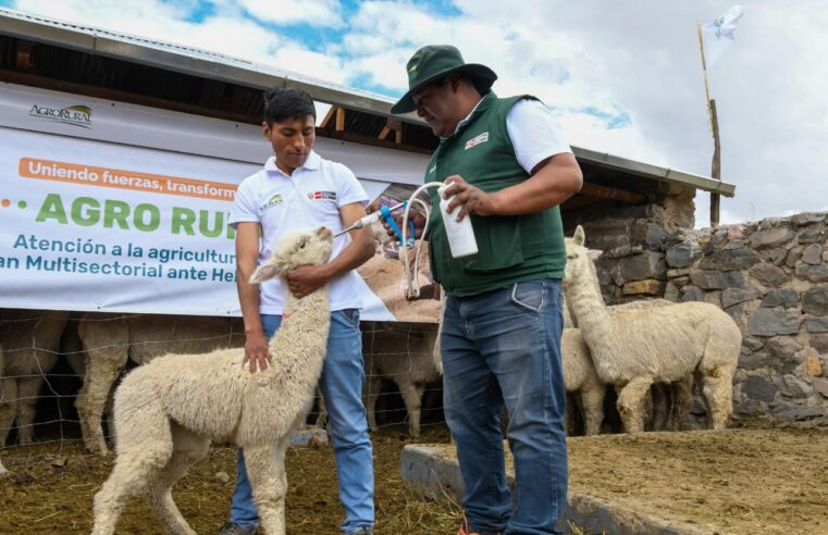 Agro Rural: 200,000 productores se beneficiarán con S/ 300 millones