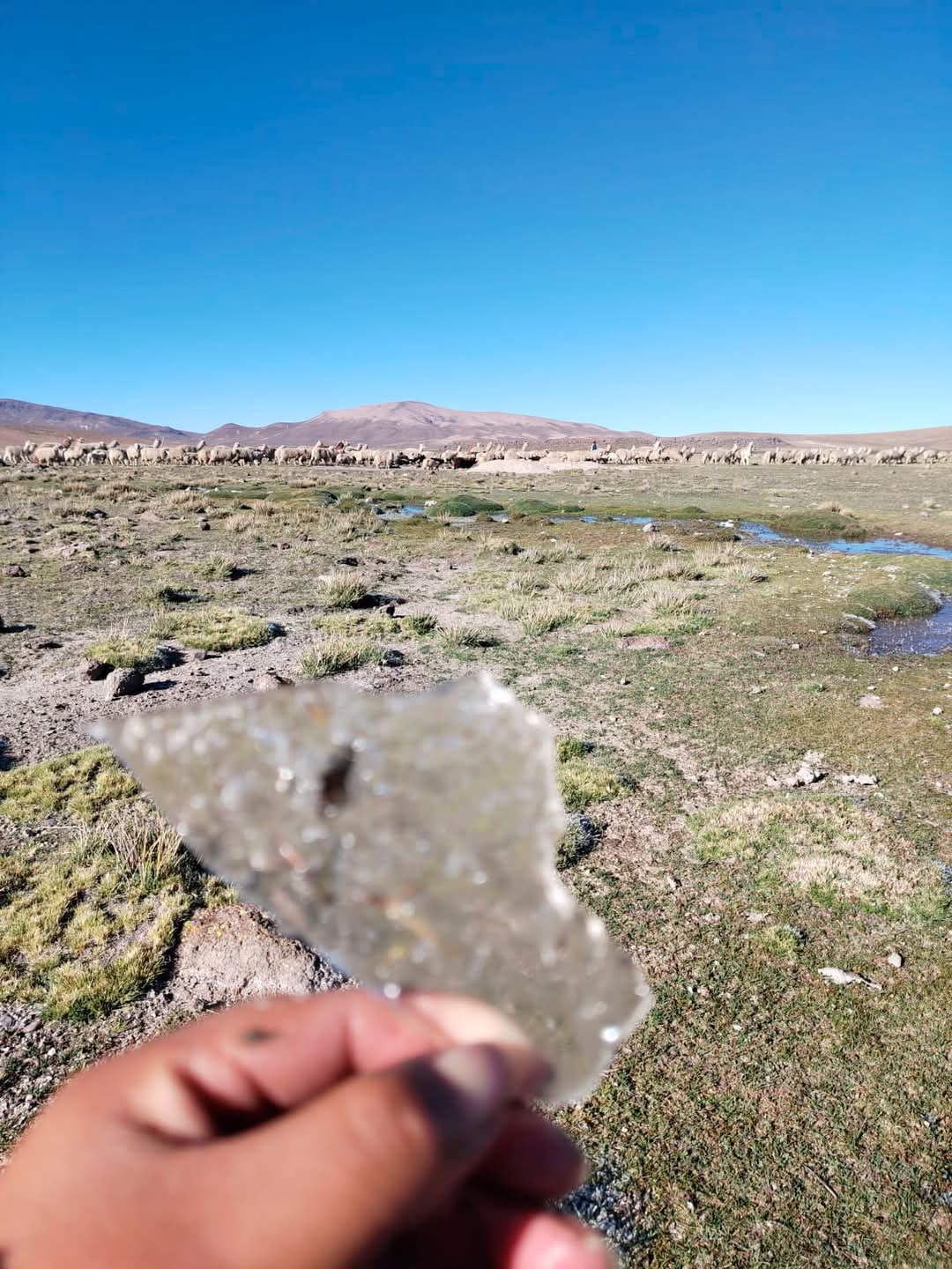 Alertan sobre falta de lluvias e inicio de heladas en Caylloma