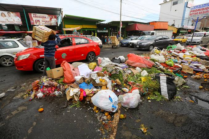 Arequipa: 40% de los vegetales orgánicos se desperdicia en la ciudad