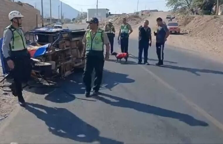 Comerciante fallece en accidente de mototaxis en Valle de Majes