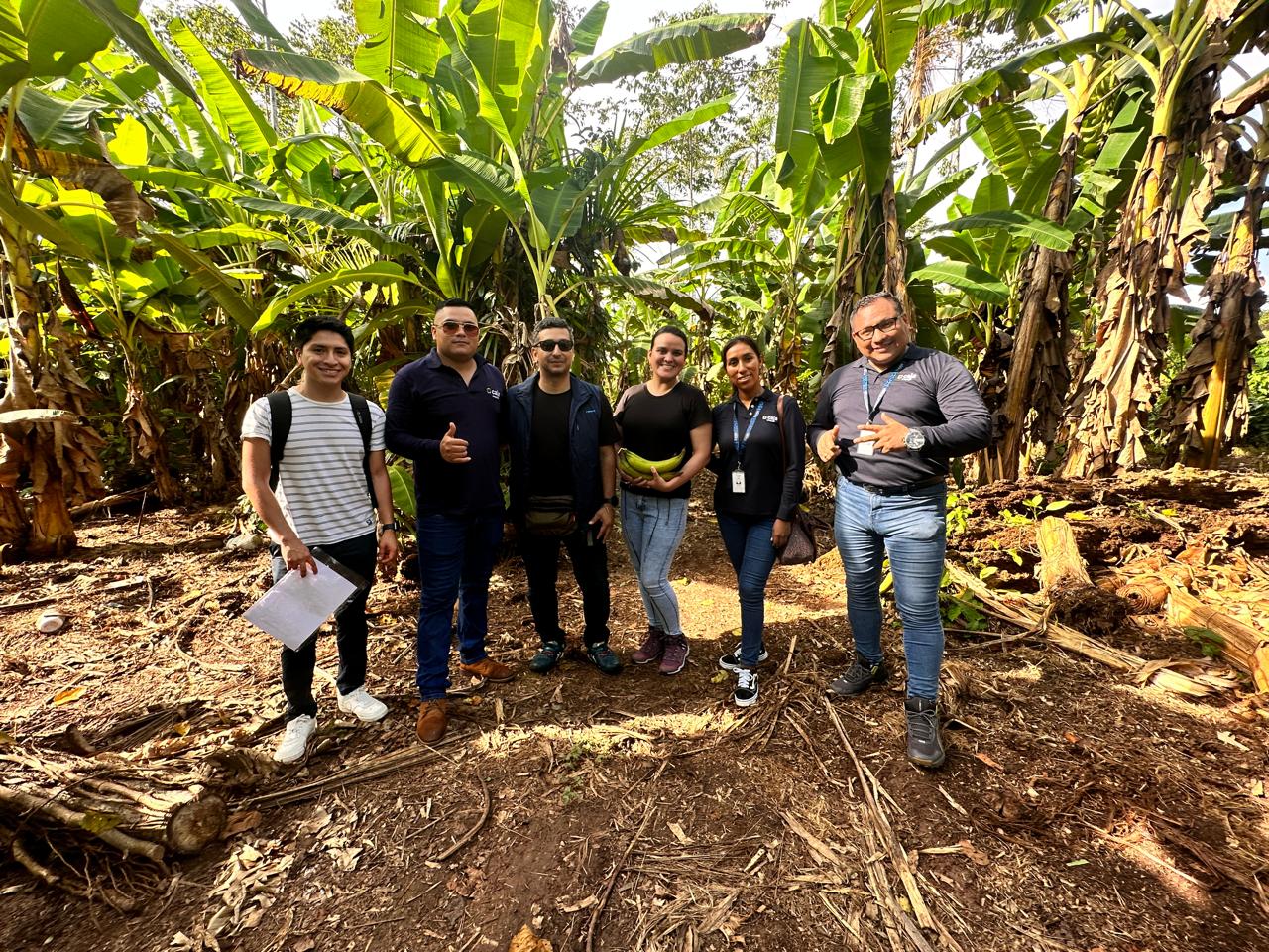 Caja Arequipa, primera caja en otorgar créditos para agricultura sostenible